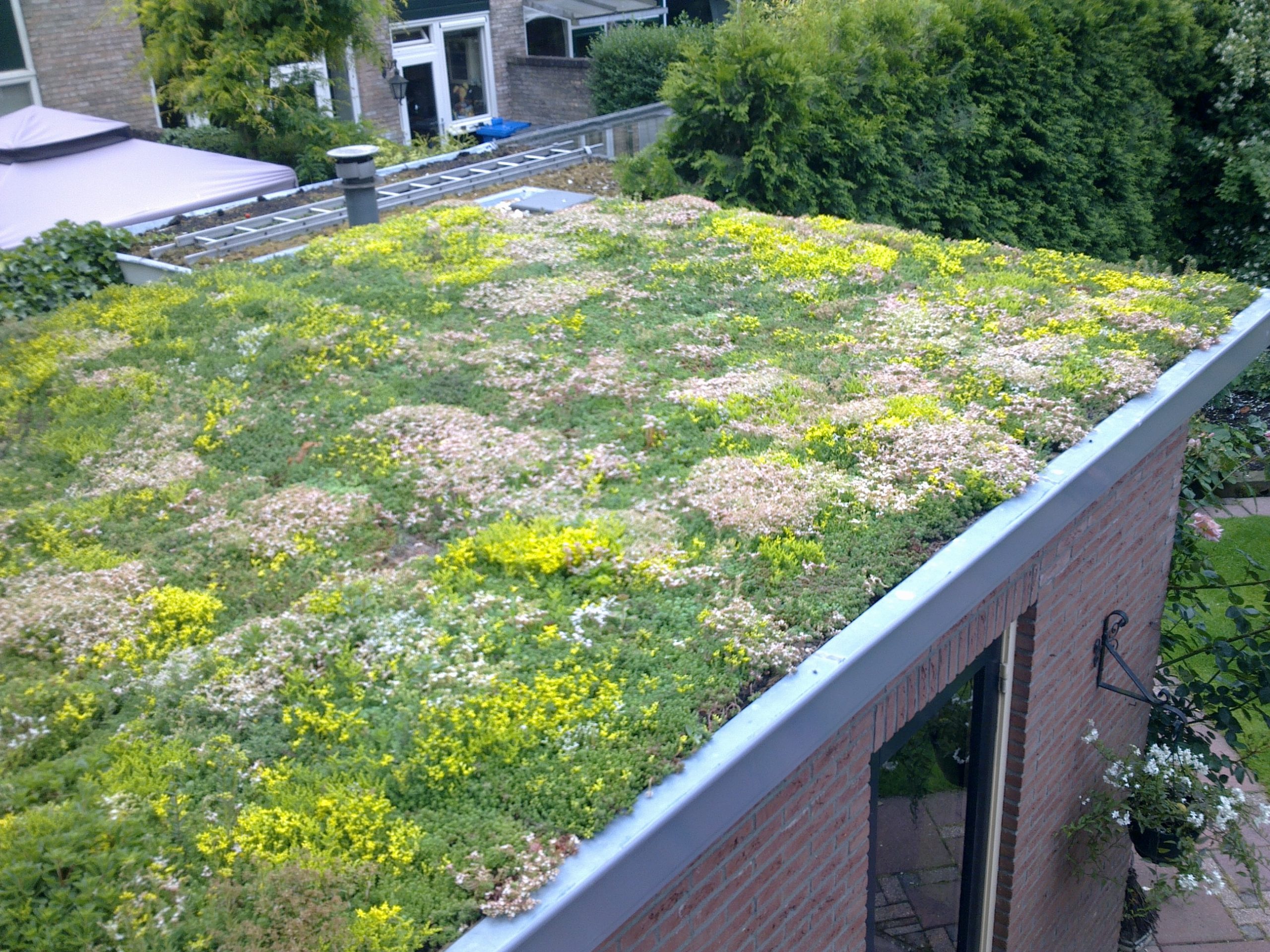 Groendak casette – Engberts Hoveniers